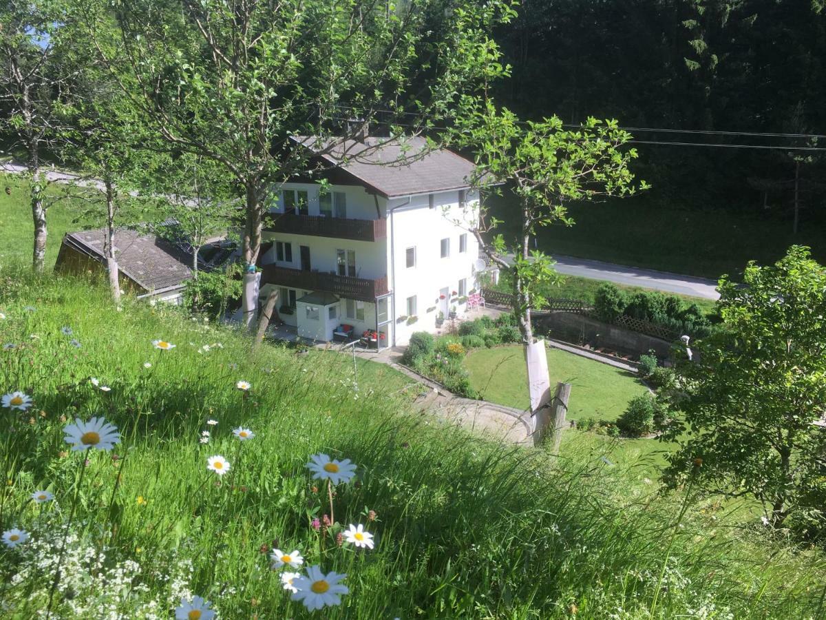 Ginnys Place Kotschach-Mauthen Экстерьер фото